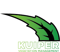 KVM-test.webp