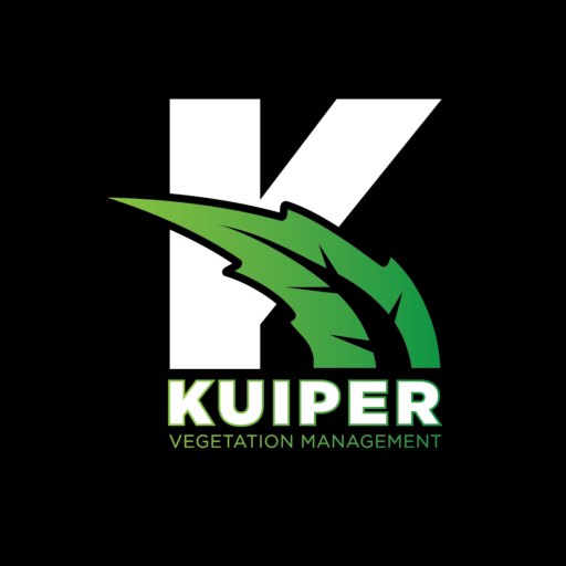 cropped-KuiperLogoFINAL.webp